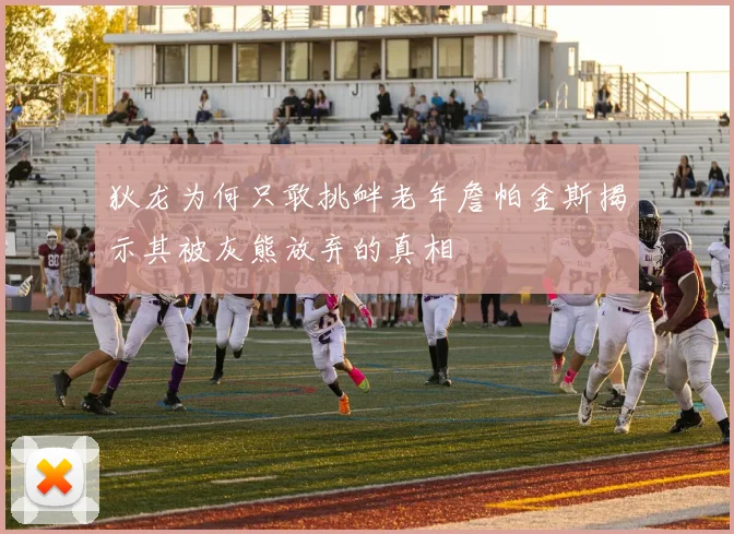 狄龙为何只敢挑衅老年詹帕金斯揭示其被灰熊放弃的真相