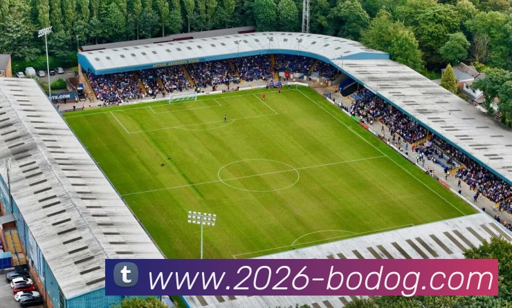 博狗娱乐平台生态图