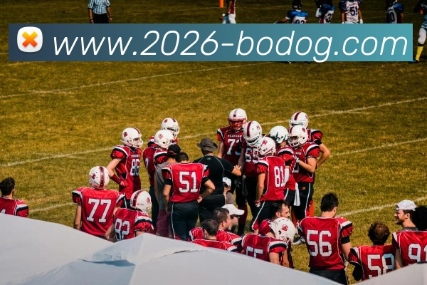 博狗娱乐APP 封面图